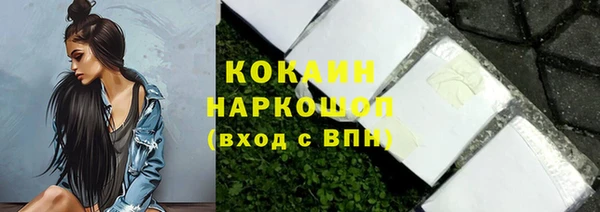 сатива Сосновка