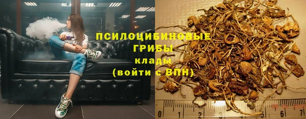 молекула духа Белоозёрский