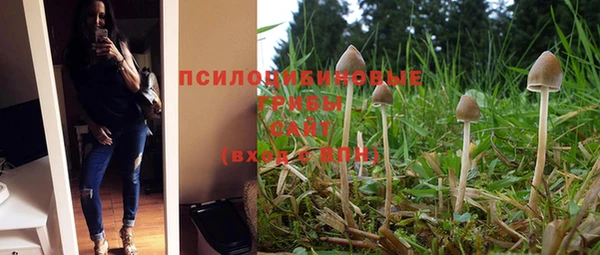 молекула духа Белоозёрский