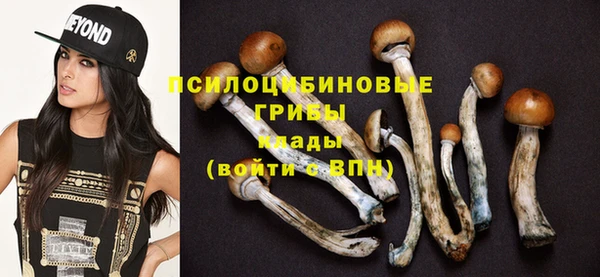 молекула духа Белоозёрский