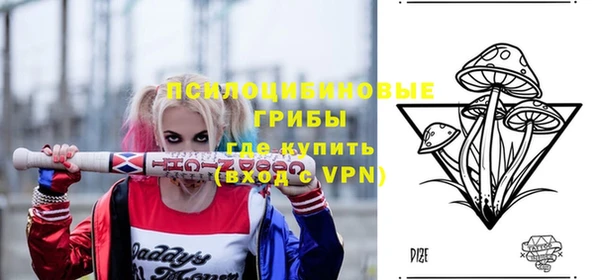 молекула духа Белоозёрский