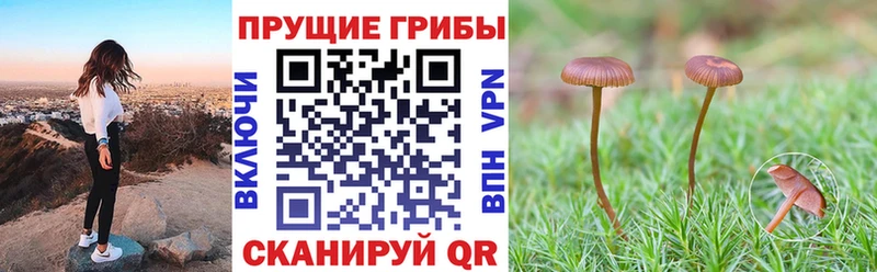 дарнет шоп  Воркута  Галлюциногенные грибы MAGIC MUSHROOMS 